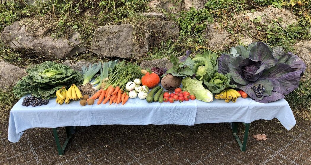 Bauernhof Tanter Dossa (oua_75590395_image)