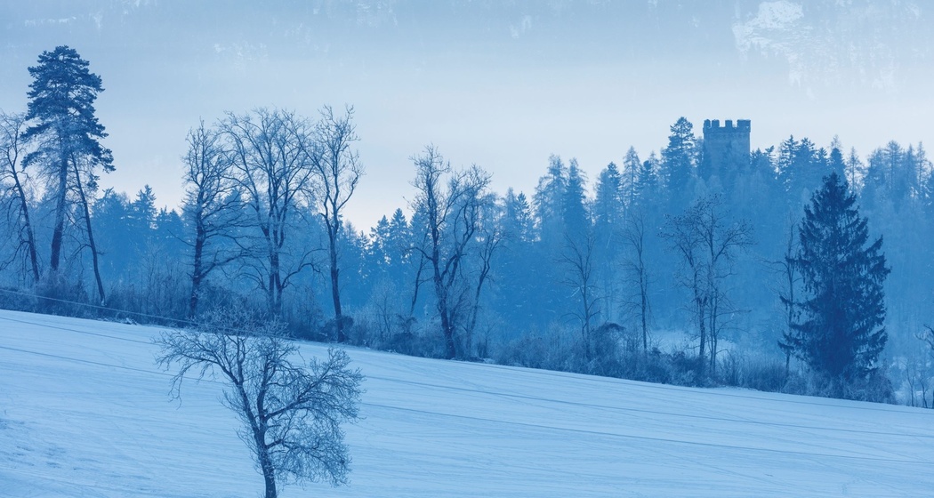 Ruine Alt Sins im Winter