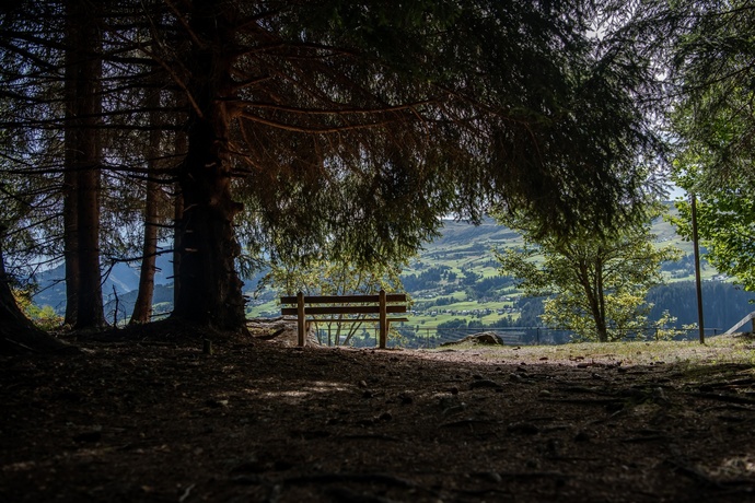Flanz/Adlerstein, Waltensburg (oua_75783121_image)