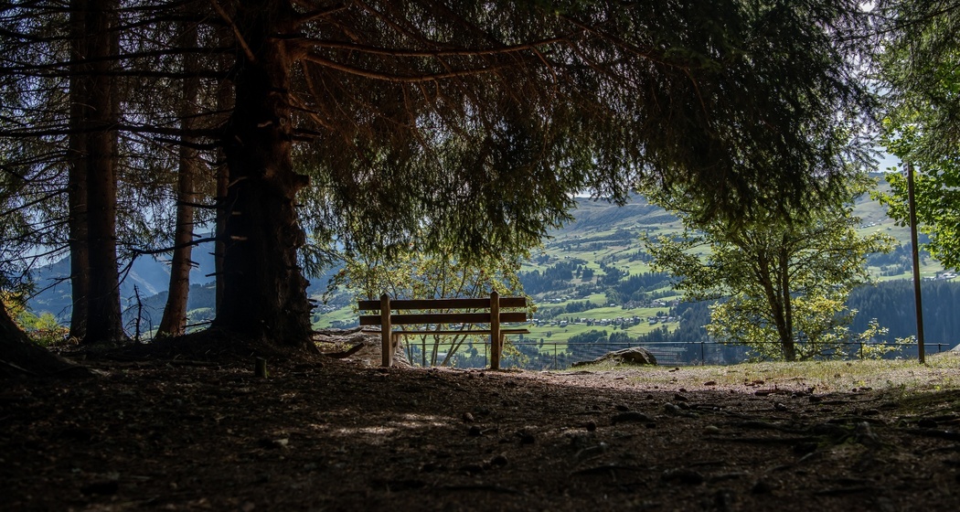 Flanz/Adlerstein, Waltensburg (oua_75783121_image)