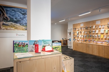 Innenaufnahme des Infobüros/Post Brigels