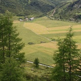 Etappe 4: Plang Faller