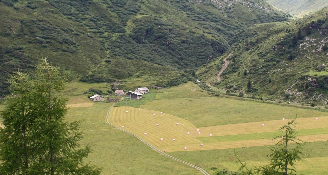 Etappe 4: Plang Faller