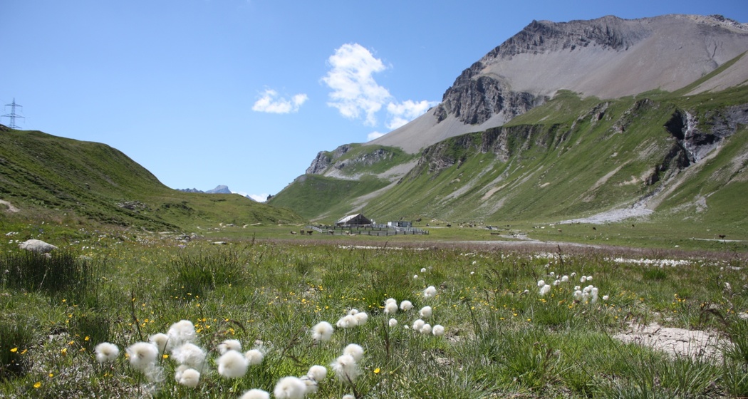 Etappe 11: Alp Albulapass
