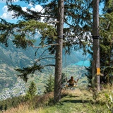 Swing the World - Li Bigori