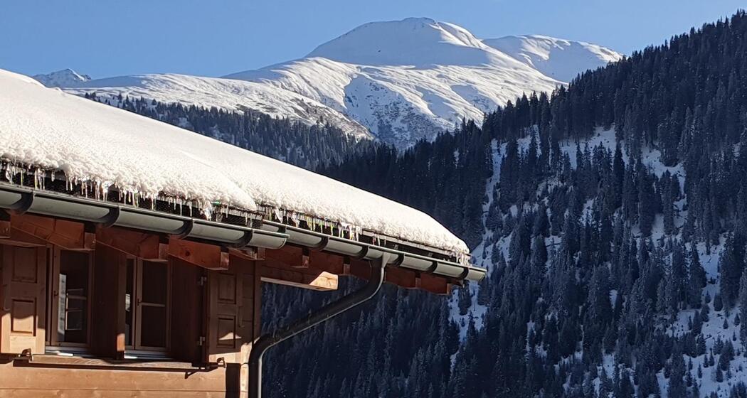 Coeur des Alpes Sedrun - Cuor di Leone (oua_76195591_image)