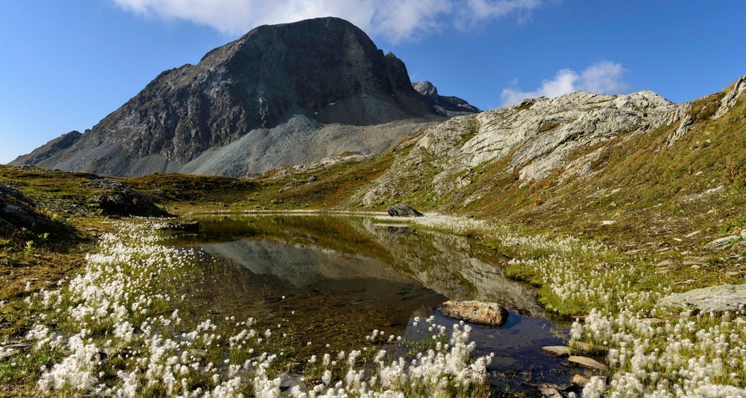 Etappe 5: Forcellina mit Piz Forcellina