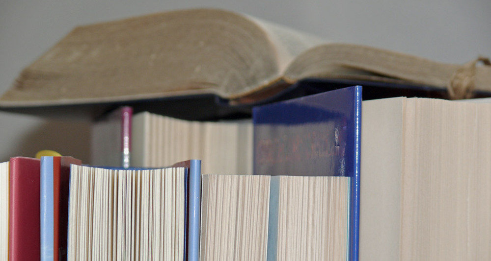 Bibliothek EMS Schiers (oua_76258625_image)