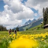 Blumenwiese über Migliè