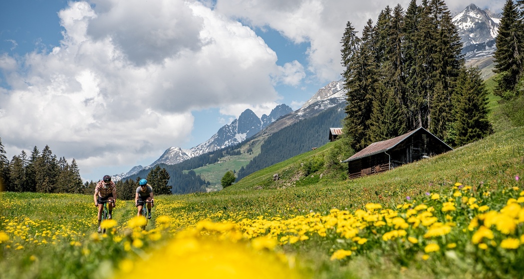 Blumenwiese über Migliè