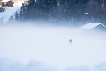 Schiers (Stels / Schuders) (oua_76472639_image)