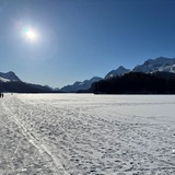 Trail running d'hiver : Maloja - Sils (oua_76773426_image)