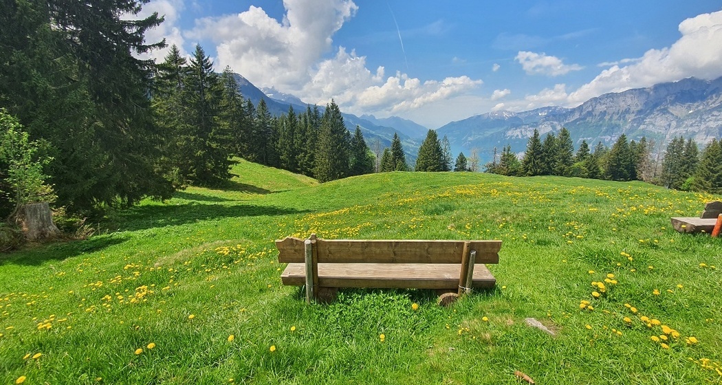 Aussicht Seeblick-Rundweg