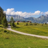 Prodalp - Panüöl - Fursch