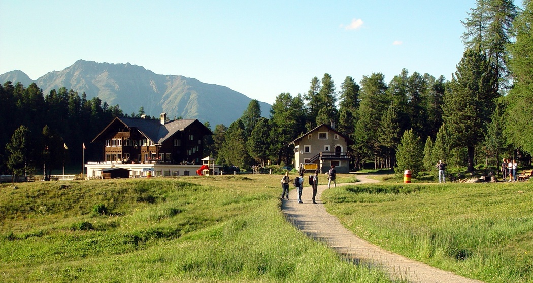 Stazerwald (oua_77219909_image)