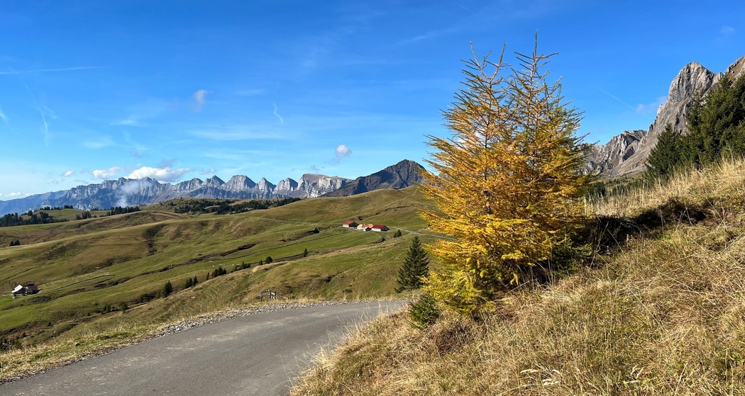 Vorderpalfries mit Churfirstenkette