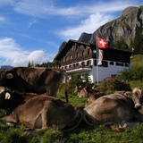 Berggasthaus Palfries