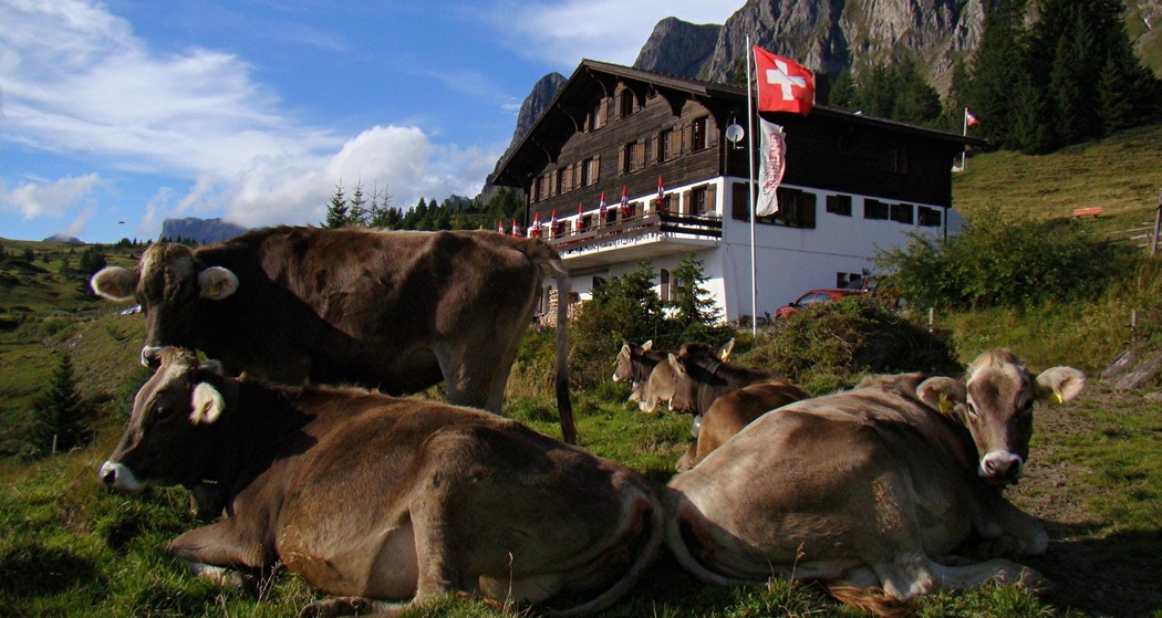 Berggasthaus Palfries