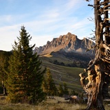Blick zur Gauschla/Alvierkette