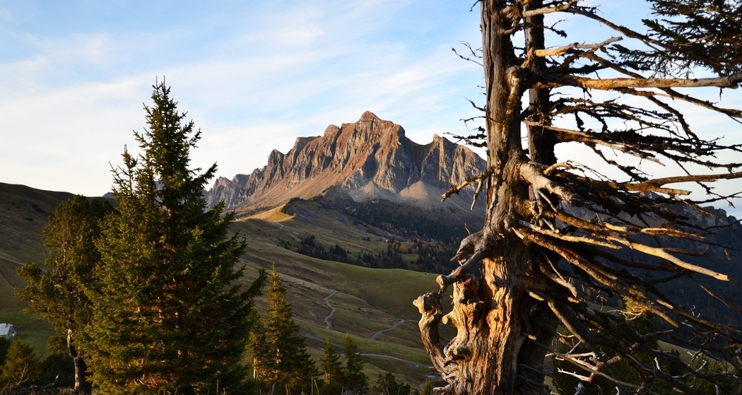 Blick zur Gauschla/Alvierkette