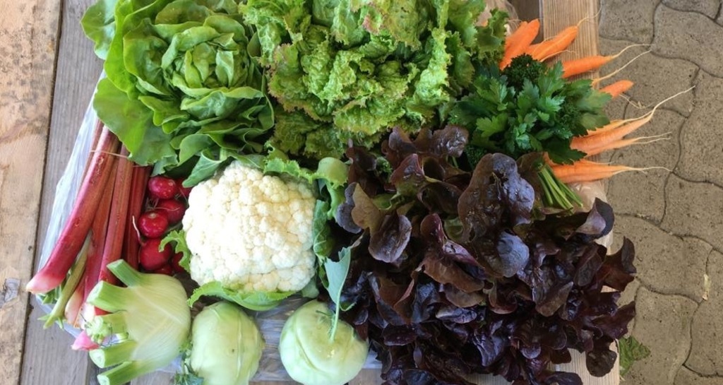 Biohof Solanum, Degen (oua_77637218_image)