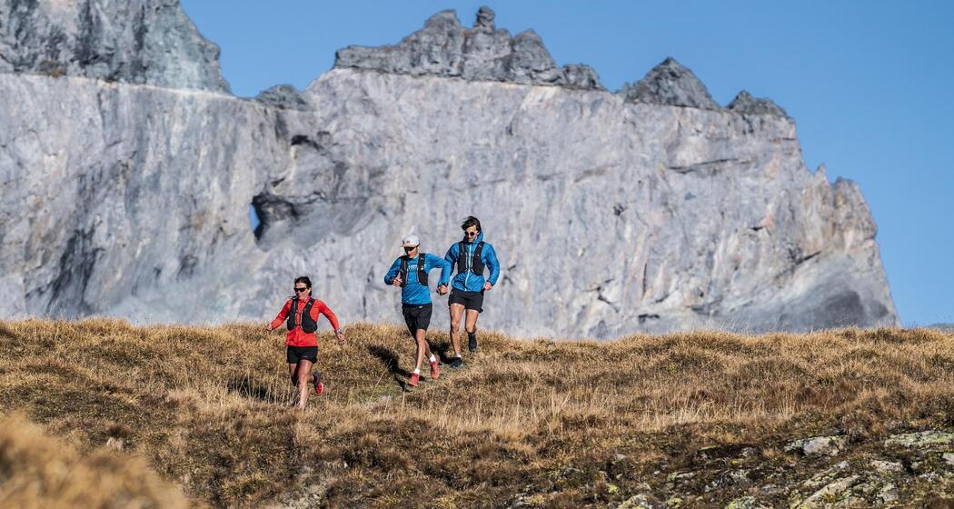 Obere- und Untere Segnesboden Runde (oua_77738075_image)