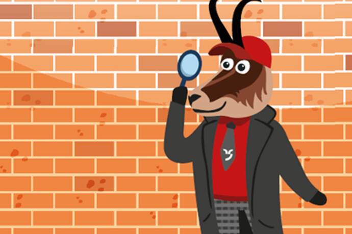 Detektiv Gemschi in Obersaxen Mundaun (oua_77865773_image)