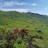 Langwies - Fondei - Blackter Fürggli - Mattjischhorn - Pirigen - Langwies