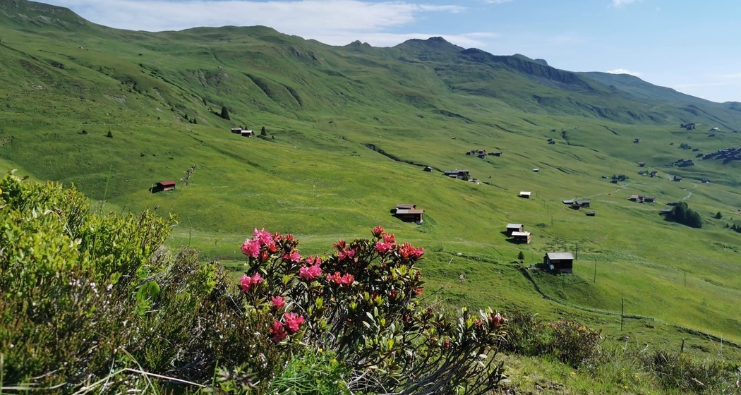 Langwies - Fondei - Blackter Fürggli - Mattjischhorn - Pirigen - Langwies