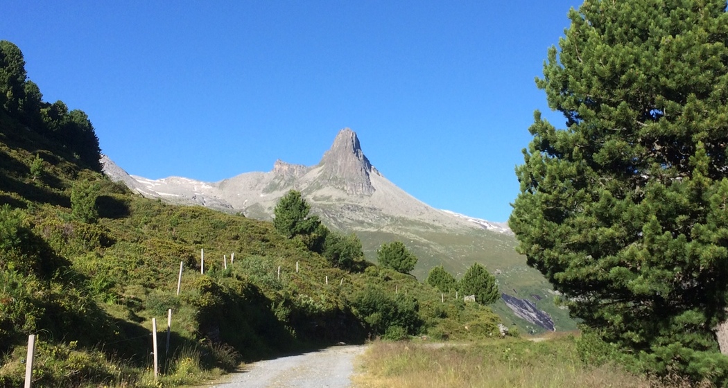 Weg mit Blick aufs Zerfreilahorn