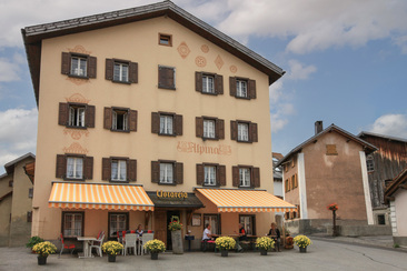 Ustareia Alpina (oua_78177284_image)