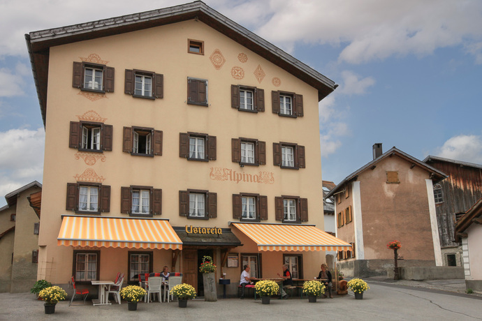 Ustareia Alpina (oua_78177284_image)