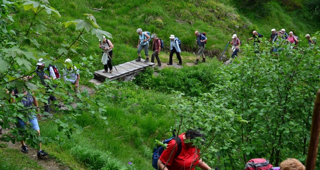 Aufstieg durch die üppige Vegetation Richtung Chamm.