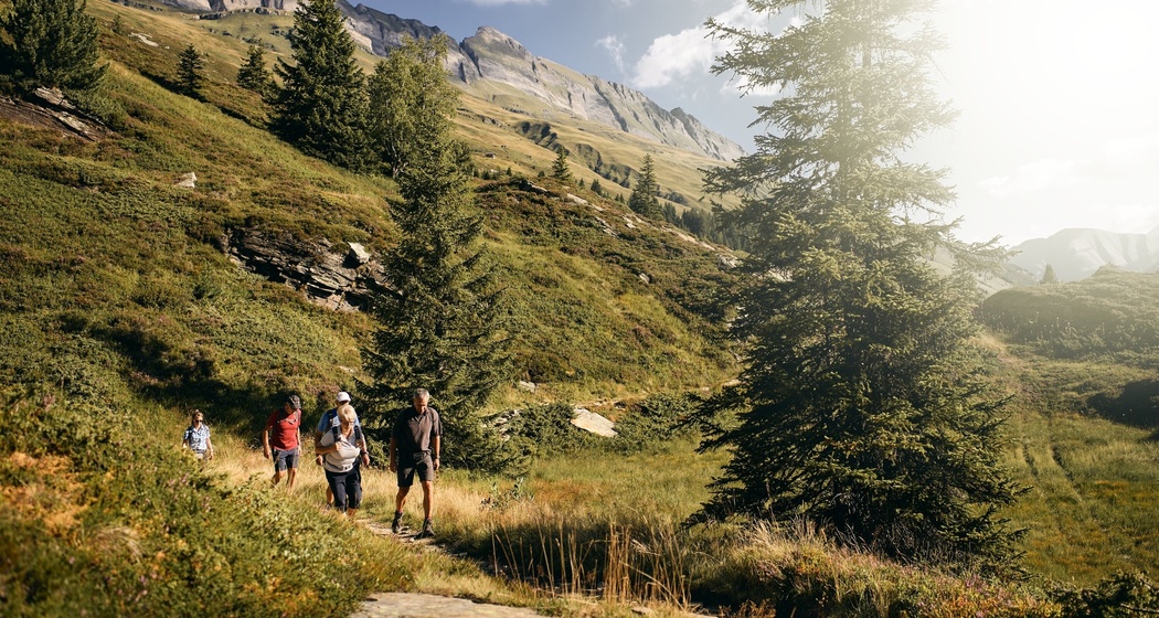 Valser Moorlehrpfad (oua_78513647_image)