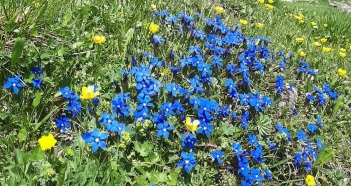 Seilerhütta Vättnerberg (oua_78515221_image)