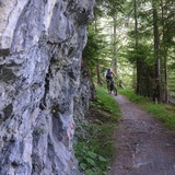 Felsenweg im Safiental