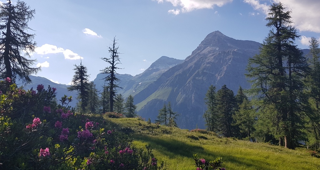 Über dem Fugschtwald