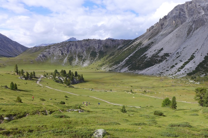 Torbiera Jufplaun (oua_78854166_image)