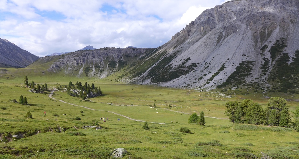 Flachmoor Jufplaun (oua_78854166_image)