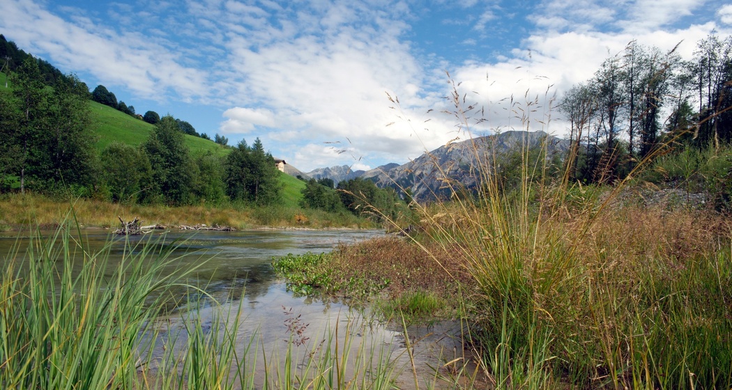 Flussrevitalisierung am Rom (oua_78854169_image)