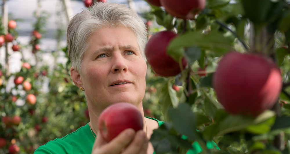 Wölflinswil: Treier Obstbau (oua_78855058_image)