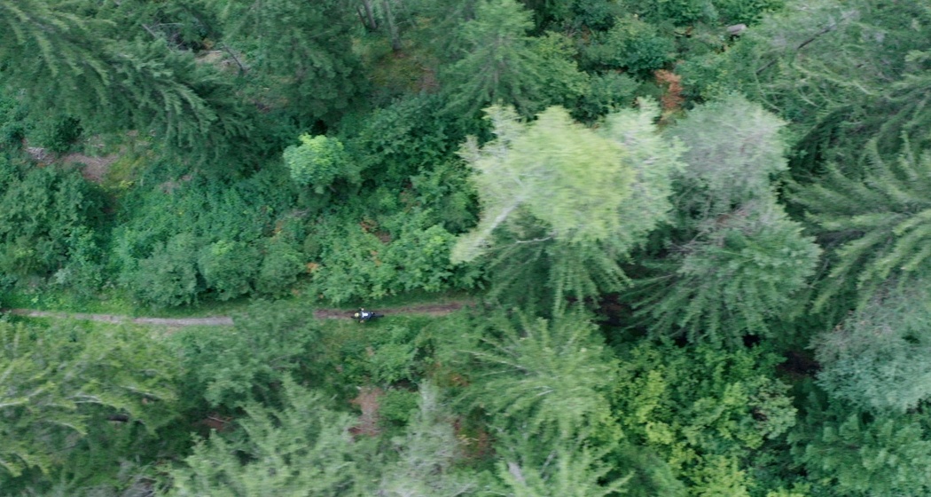 Vogelperspektive in das Southern Delight