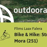 Mountainbike-tour in Flims Laax Falera: Bike & Hike: Strudeltöpfe Alp Mora (251)