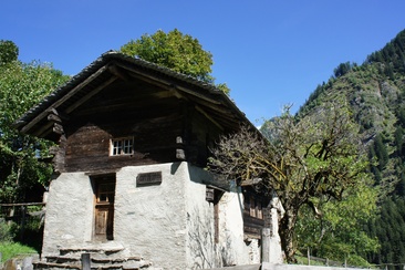 Cà da l'Ava - Fondazione Calanca delle Esploratrici (oua_78888909_image)