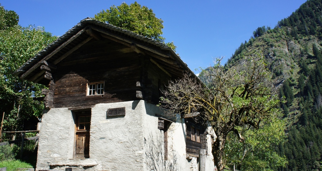 Cà da l'Ava - Fondazione Calanca delle Esploratrici (oua_78888909_image)