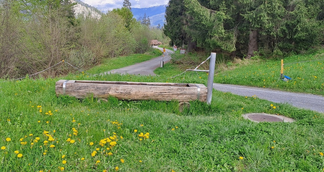 Wasserbrunnen Punt La Reisga Flims (oua_79065697_image)