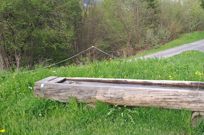Wasserbrunnen Punt La Reisga Flims (oua_79065712_image)