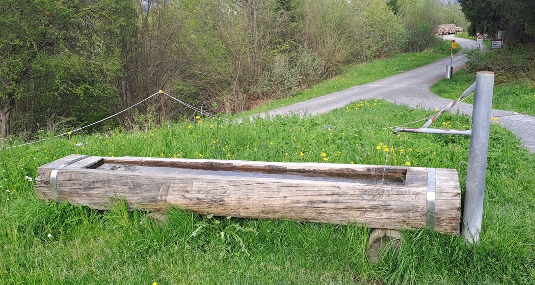 Wasserbrunnen Punt La Reisga Flims (oua_79065712_image)