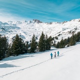 Snowshoe trail Plattis with a view of the Spitzmeilen