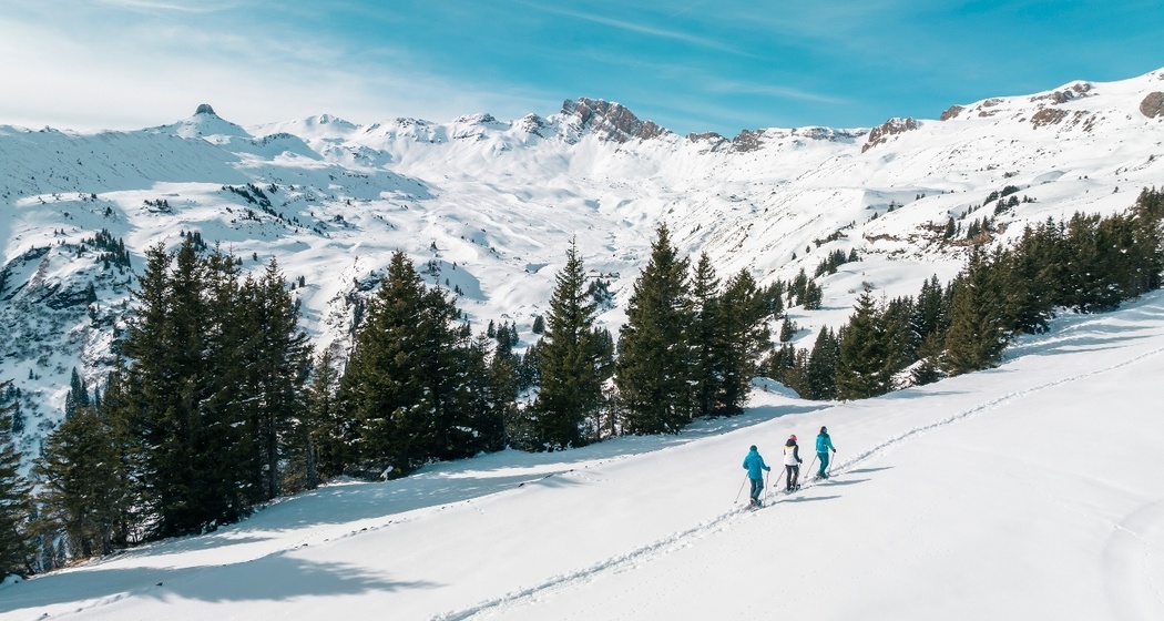 Schneeschuhtrail Plattis mit Aussicht auf den Spitzmeilen